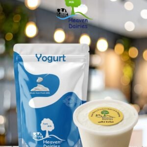 Fresh Yogurt